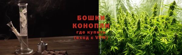 шишки Аркадак