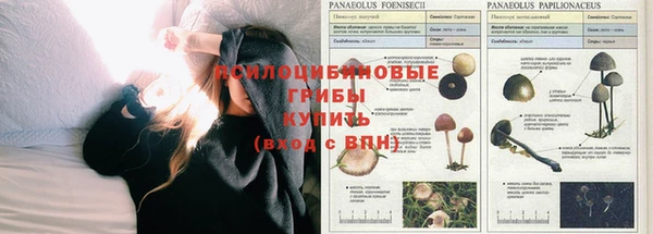 эйфоретик Арсеньев