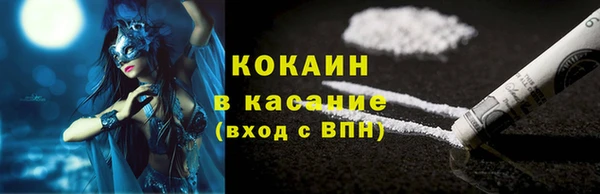шишки Аркадак