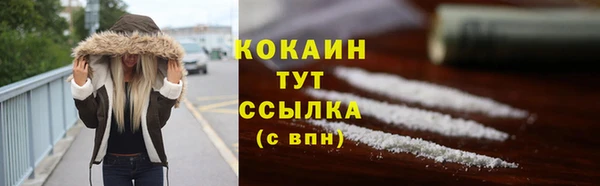 эйфоретик Арсеньев